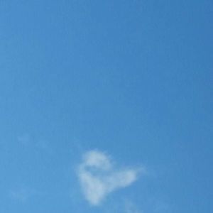 Meet your Posher, Harmony